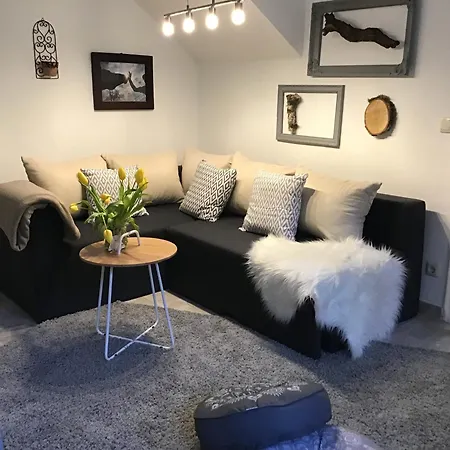 Wildblick Hof Grindelborn 公寓 Mürlenbach