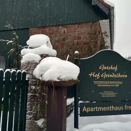 公寓 Wildblick Hof Grindelborn *