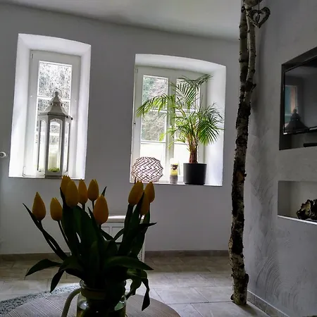 公寓 Wildblick Hof Grindelborn *