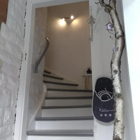 Wildblick Hof Grindelborn *