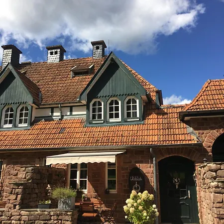 Wildblick Hof Grindelborn *