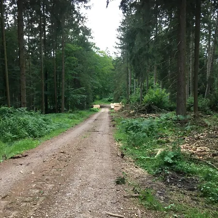 Wildblick Hof Grindelborn