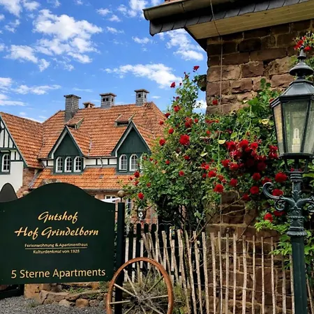 Wildblick Hof Grindelborn 公寓 Mürlenbach