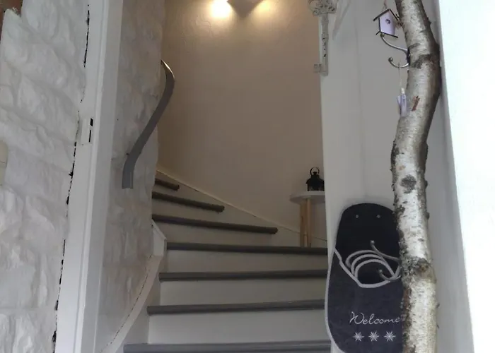 Wildblick Hof Grindelborn *