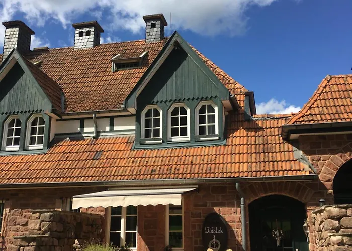 Wildblick Hof Grindelborn *