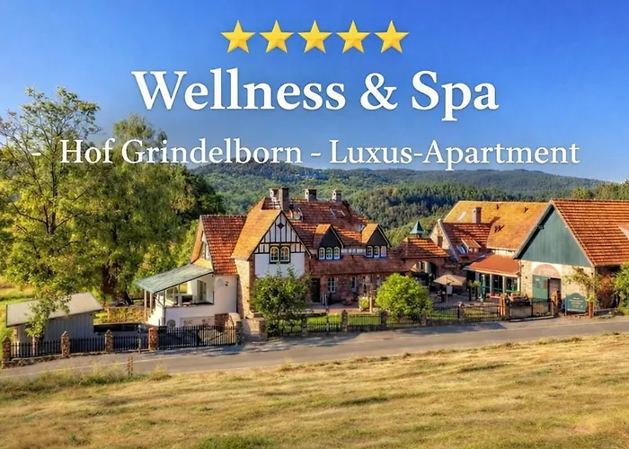 Wildblick Hof Grindelborn Mürlenbach